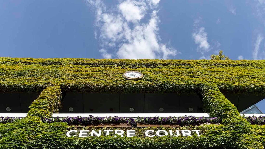 Wimbledon 2026 Preview: The Grass-Court Players I’d Actually Keep an Eye On